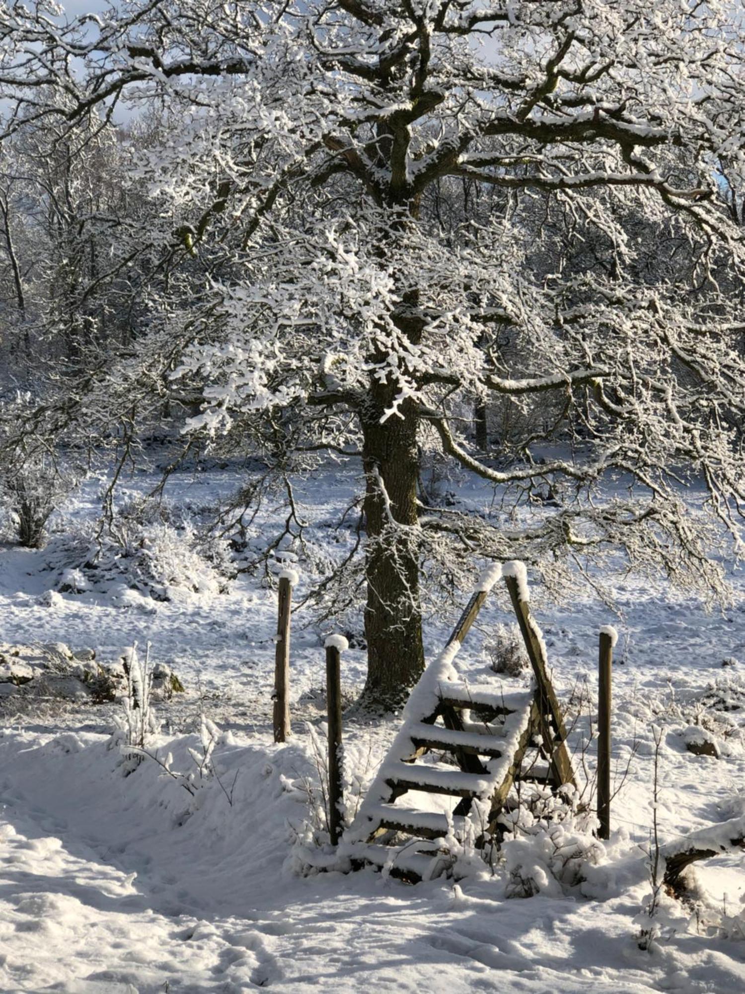 Oevra Berg Villa Ullared Kültér fotó
